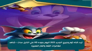 تردد قناة توم وجيري الجديد 2025 اليوم بجودة HD على النايل سات – شاهد مغامرات القط والفأر المميزة